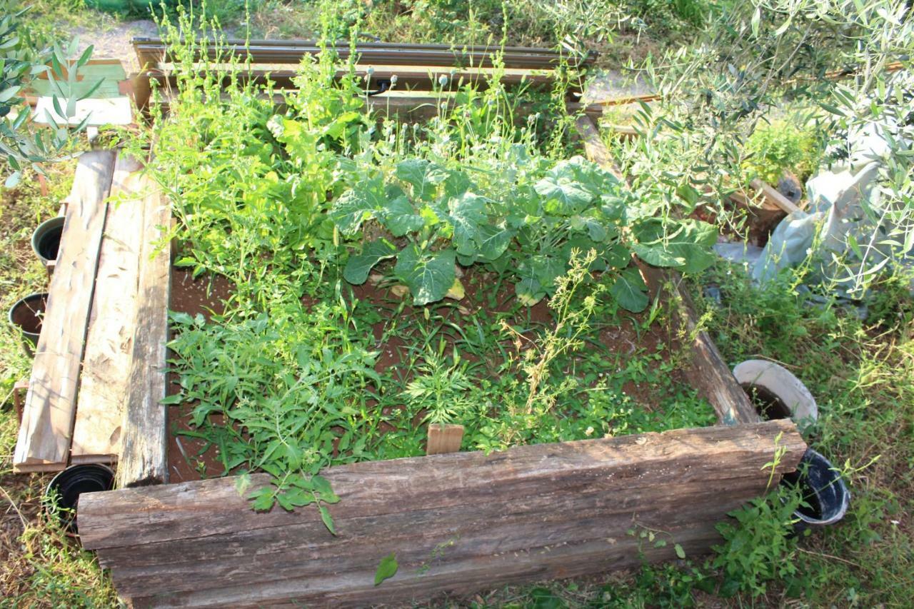 Villa Mary'S Garden Tulisevica Exterior foto